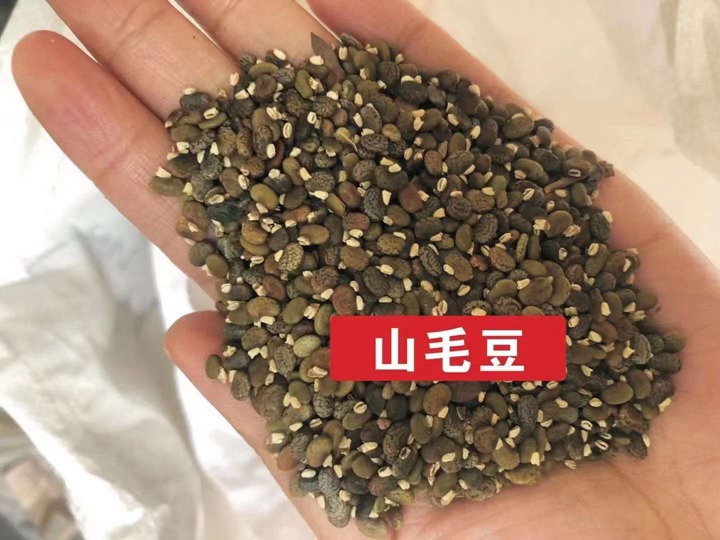 9,山毛豆山毛豆是豆科灰毛豆属的灌木植物,耐旱力强,能忍受0℃左右的