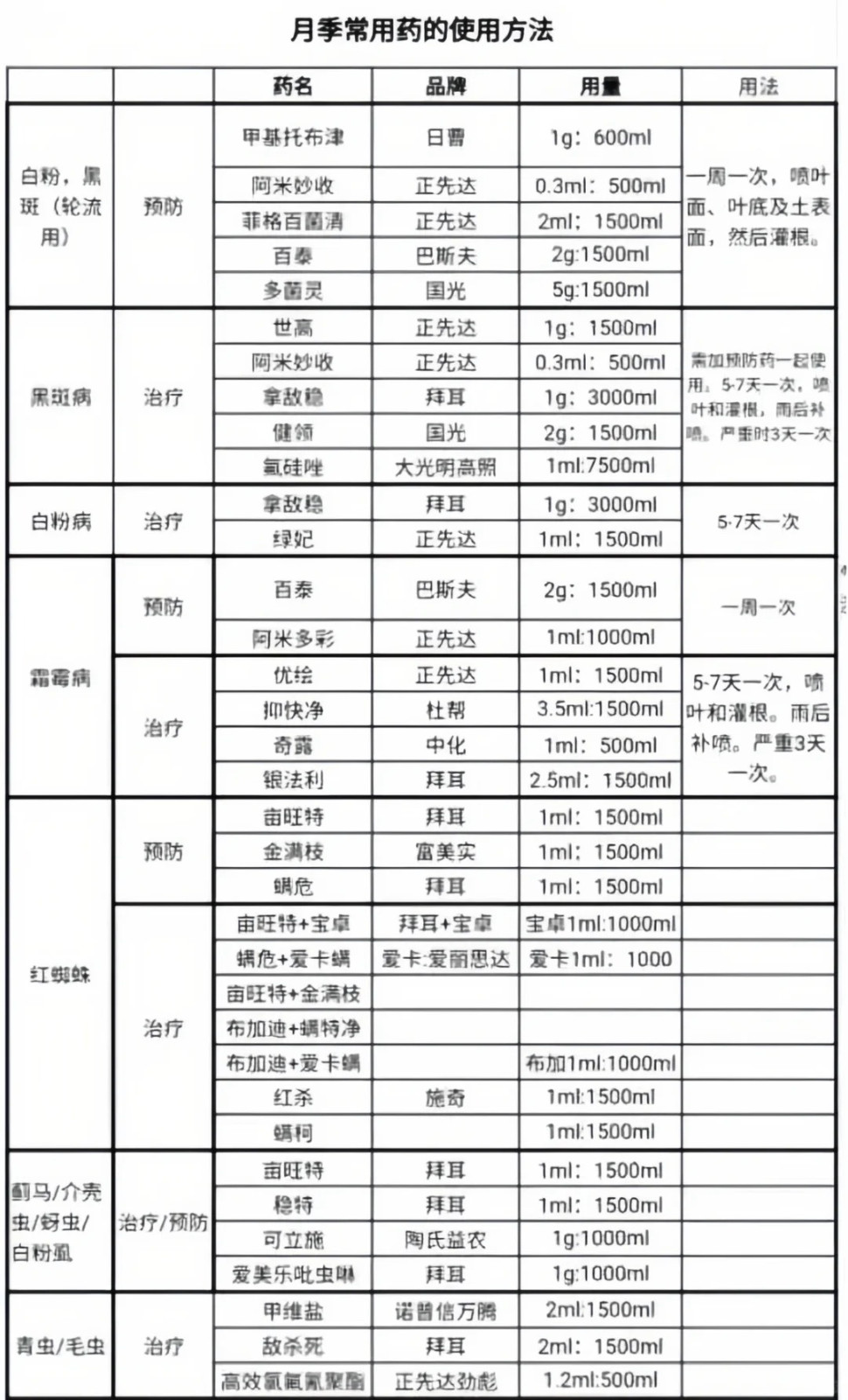 月季花喷什么农药最好