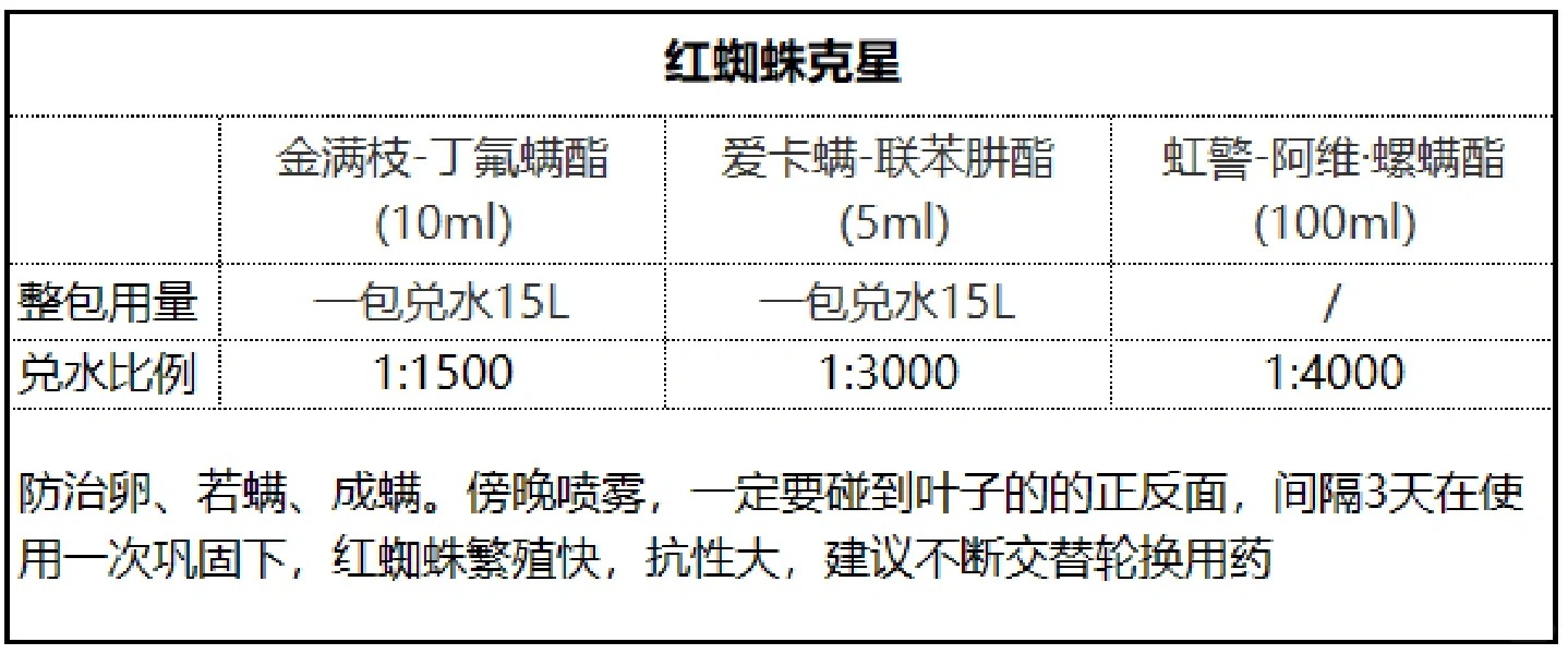 月季花喷什么农药最好