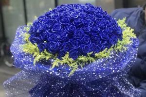 蓝玫瑰的花语和寓意都有哪些