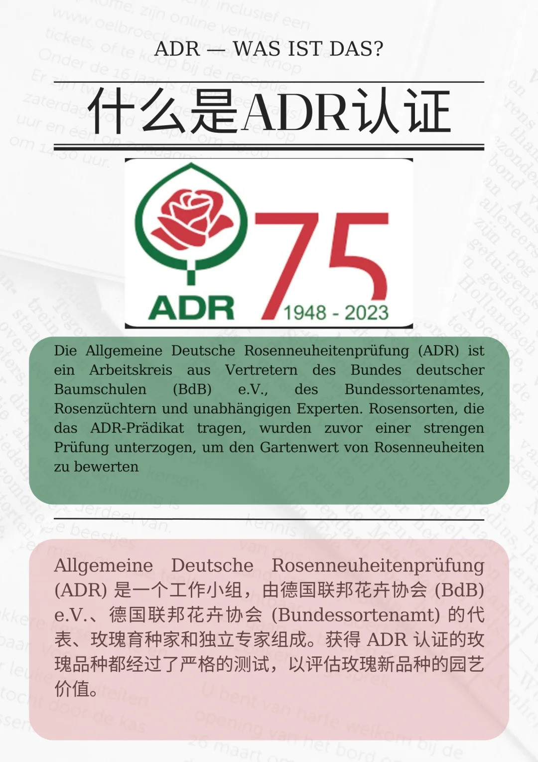 什么是ADR认证，ADR月季官网名单