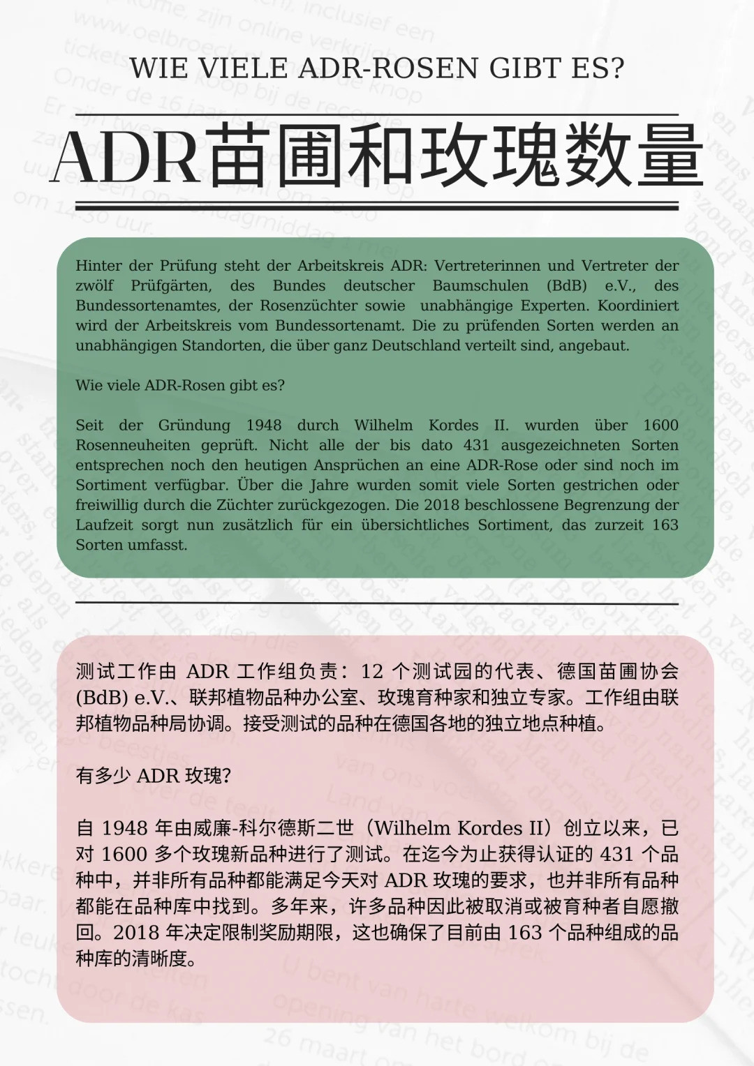 什么是ADR认证，ADR月季官网名单