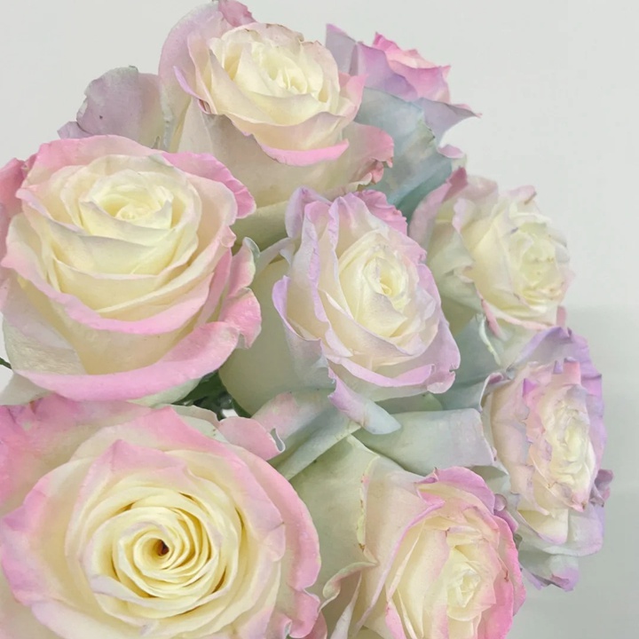 欧若拉极光 Aurora Roses Bouquet