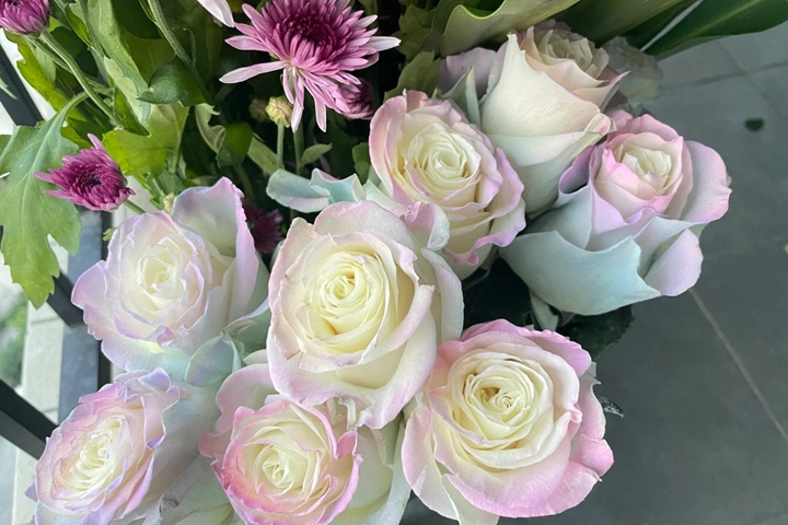 欧若拉极光 Aurora Roses Bouquet