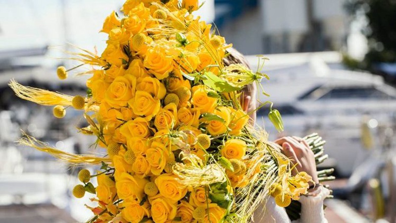 男生送女生月季花代表什么