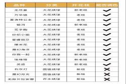 绣球修剪指南——8月绣球这么剪，爆花不再难