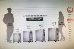 月季树嫁接设计以及品种选择